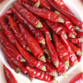 Chili chilis chili paprika alimentaire de la couleur